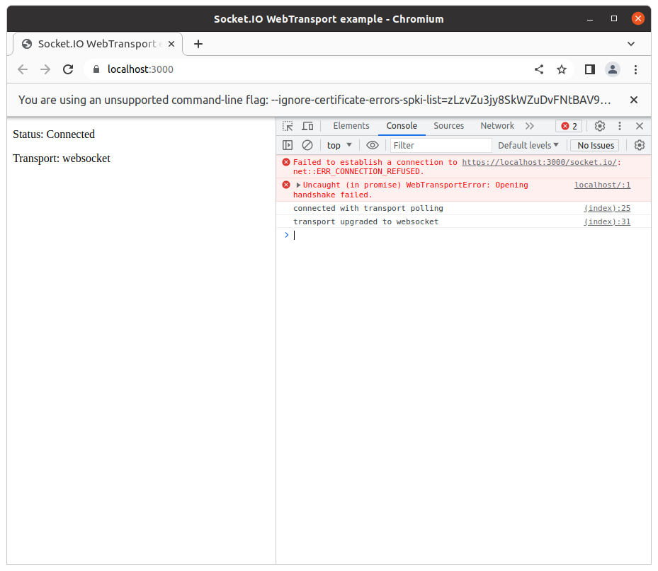 Browser indicating an error with WebTransport